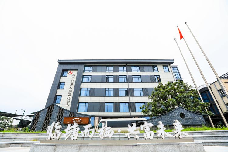 他们用科技点亮现代农业,用艺术唤醒古村魅力,用流量打开共富新路